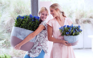 Blauer Garten