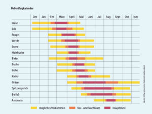 Pollenflugkalender