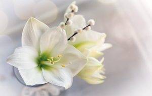 _700x441_sc-Fotografie_stock.adobe.com