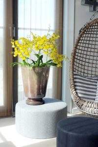 Oncidium gelb