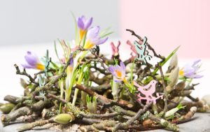 Krokus