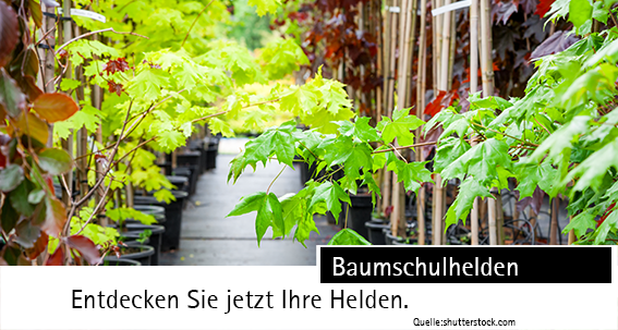 Baumschulhelden_19