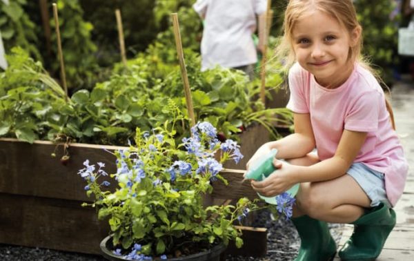 Top 5 Gärtnern mit Kindern. Irßlinger GmbH & Co. KG