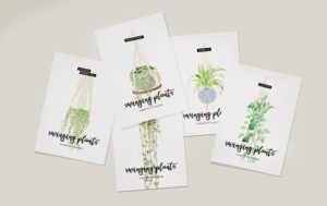 swinging-plants
