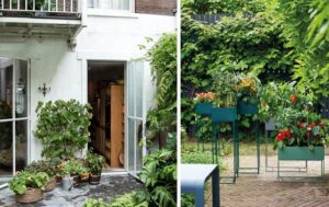 Gemüsegarten