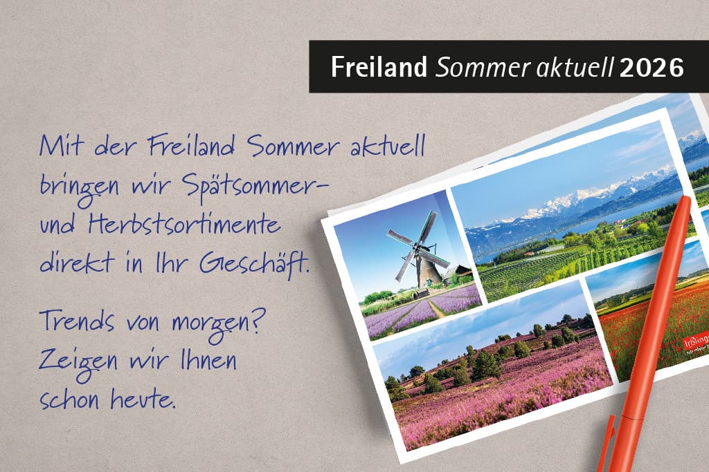 BlogPost_FSA